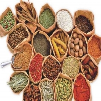 蒸發(fā)光散射檢測法在中藥領(lǐng)域蘊(yùn)藏極大的效用